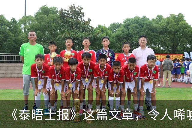 《泰晤士报》这篇文章，令人唏嘘不已
