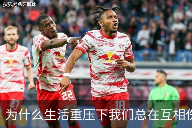 为什么生活重压下我们总在互相伤害？