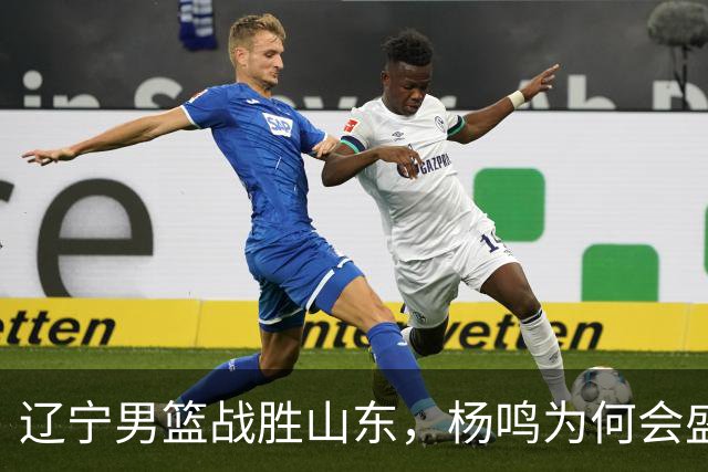 辽宁男篮战胜山东，杨鸣为何会盛赞库珀？